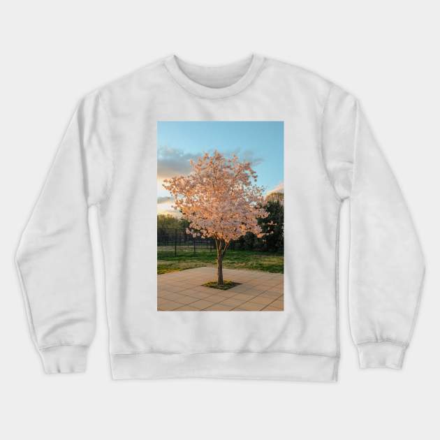 Cherry Blossom 7 Crewneck Sweatshirt by igjustin